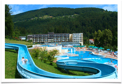 topolsica
